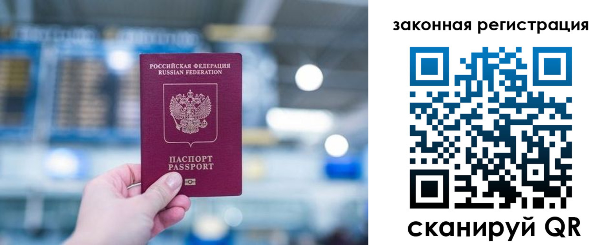 прописка поиск в Сольцах